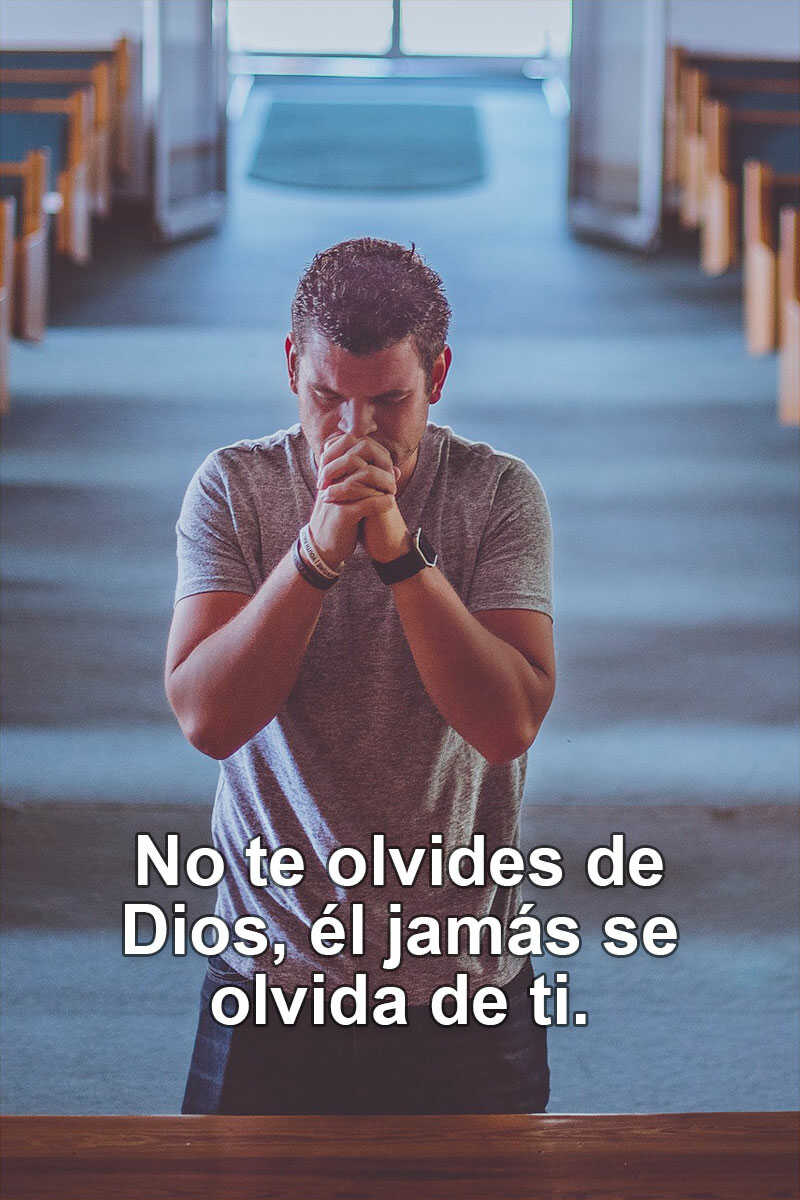 Frases de la Biblia